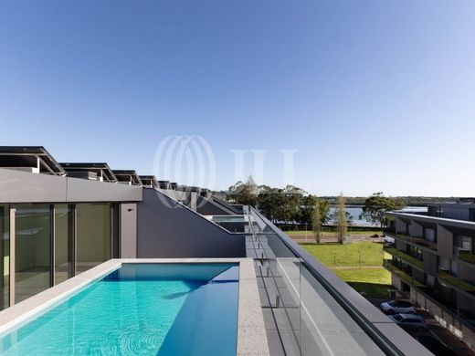 Daire Viana do Castelo, Distrito de Viana do Castelo