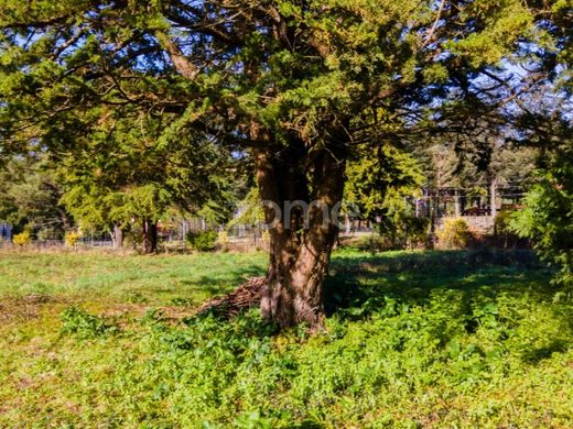 Terreno a Esposende1, Esposende