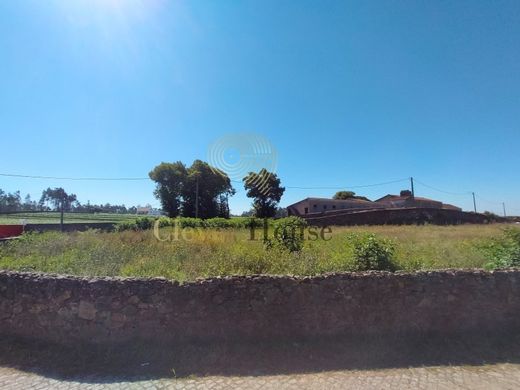 Teren w Esposende, Distrito de Braga