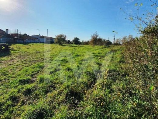 Land in Coimbra, Distrito de Coimbra