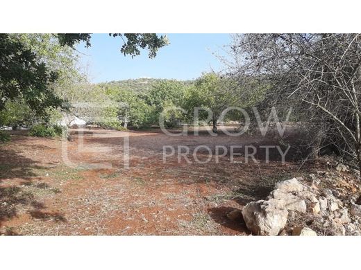 ‏קרקע ב  São Brás de Alportel, Distrito de Faro