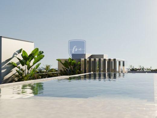 Apartment in Câmara de Lobos, Madeira