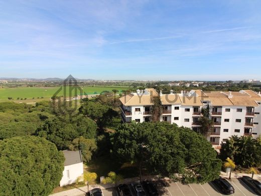 Apartment in Albufeira, Albufeira Municipality