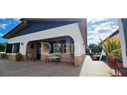 Semidetached House in Funchal, Madeira