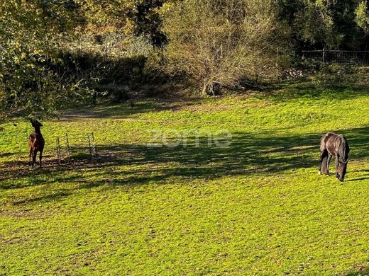 Luxury home in Cabeceiras de Basto, Distrito de Braga