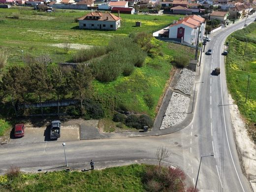 Land in Torres Vedras, Lisbon
