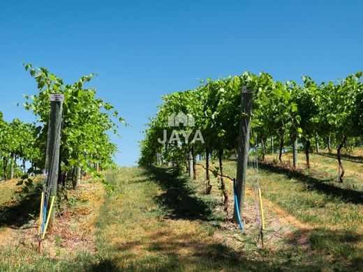 Rural or Farmhouse in Lagoa, Distrito de Faro
