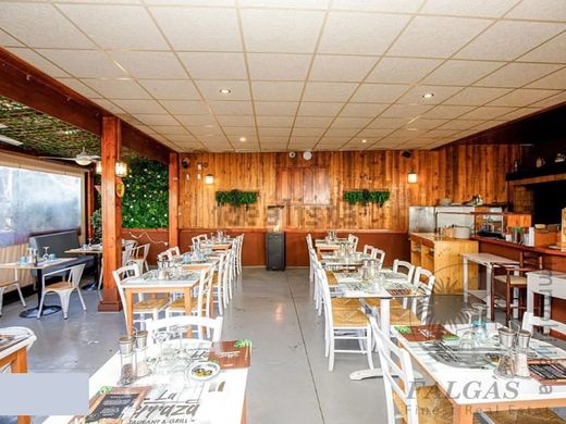 Hotel in Castelló d'Empúries, Province of Girona