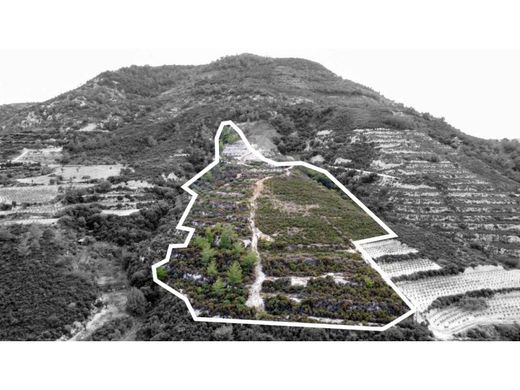 Land in Trimíklini, Limassol District