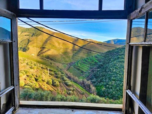 Πολυτελή κατοικία σε São João da Pesqueira, Distrito de Viseu