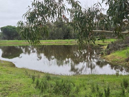 Farm in Mértola, Distrito de Beja