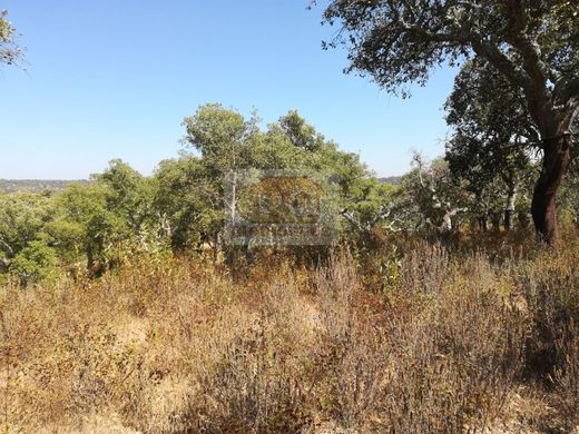 Terrain à Grândola, Distrito de Setúbal