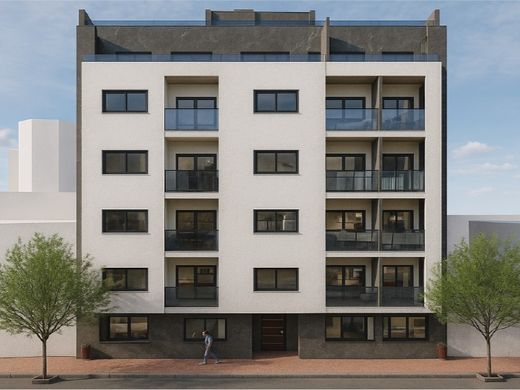 Daire Torrevieja, Provincia de Alicante