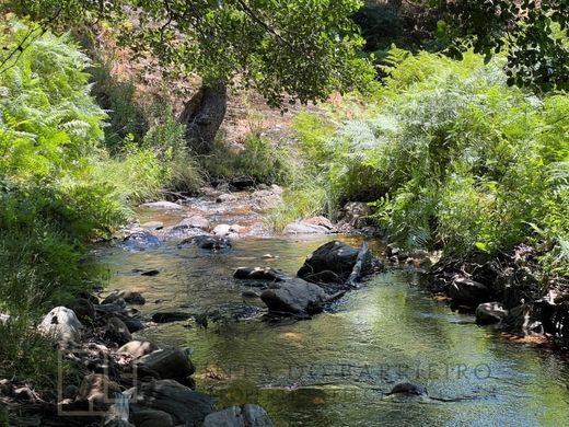 Boerderij in Portalegre, Distrito de Portalegre