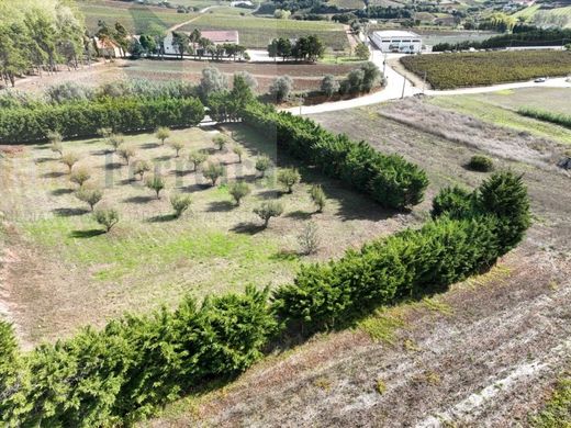 Αγροτεμάχιο σε Torres Vedras, Distrito de Lisboa