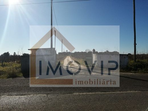 Αγροτεμάχιο σε Palmela, Distrito de Setúbal