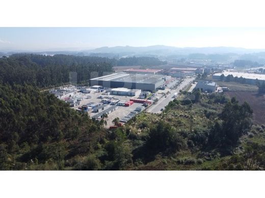 토지 / Vila do Conde, Distrito do Porto