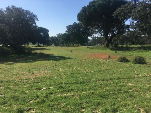 Farm in Palmela, Distrito de Setúbal