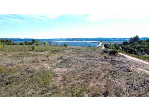 Arsa Constância, Distrito de Santarém