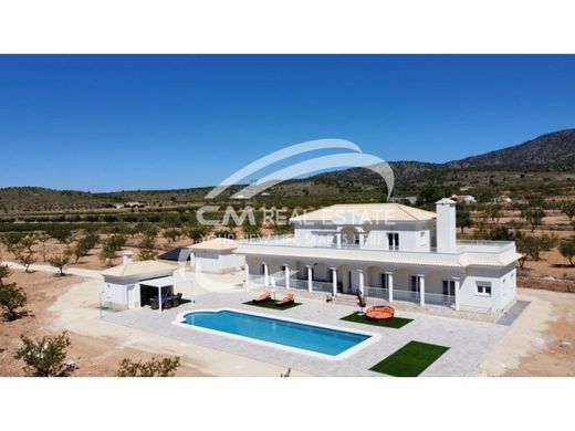 ﻓﻴﻼ ﻓﻲ Pinoso, Provincia de Alicante