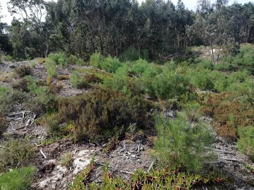 Terrain à Óbidos, Distrito de Leiria