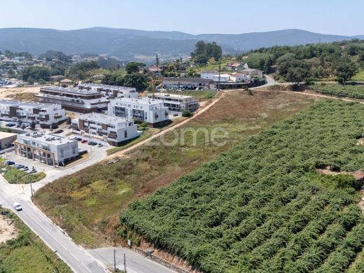 Land in Castelo de Paiva, Aveiro