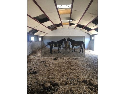 Luxury home in Reguengos de Monsaraz, Distrito de Évora