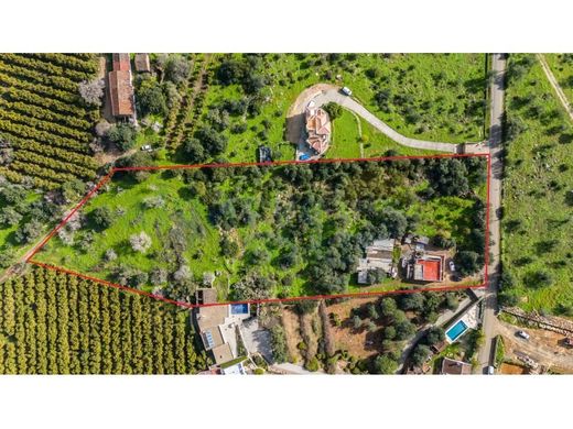 Arsa Tavira, Distrito de Faro