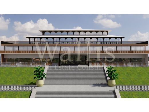 Lamego, Distrito de Viseuの高級住宅