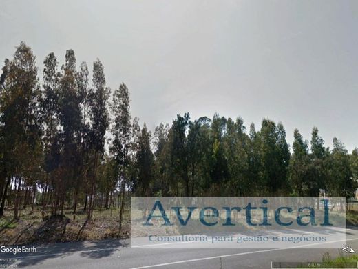 Teren w Vila do Conde, Distrito do Porto