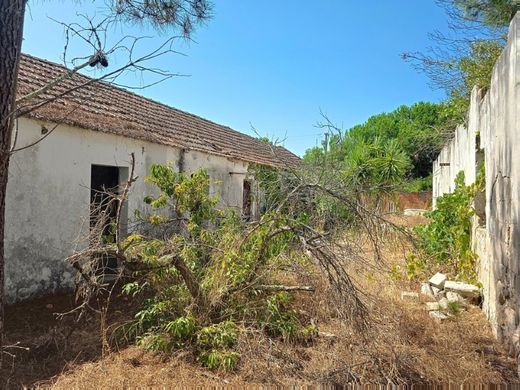 Maison de luxe à Grândola, Distrito de Setúbal