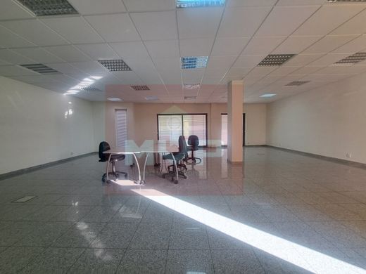 Office in Faro, Distrito de Faro