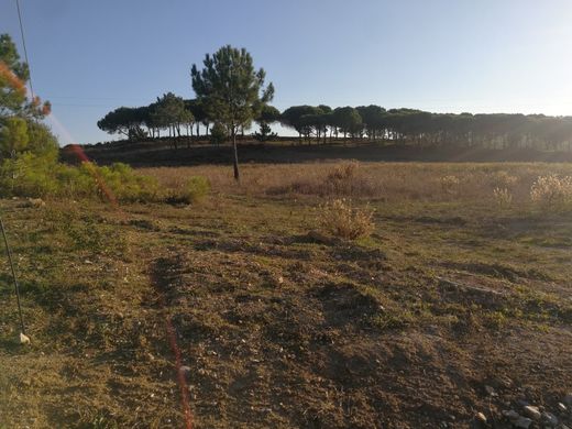 Участок, Сесимбра, Sesimbra