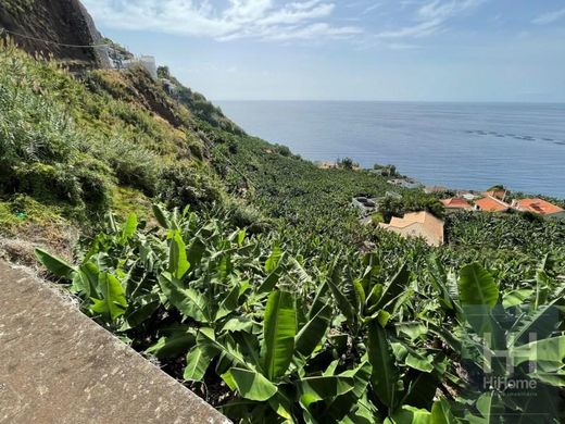 Terreno - Calheta, Madeira