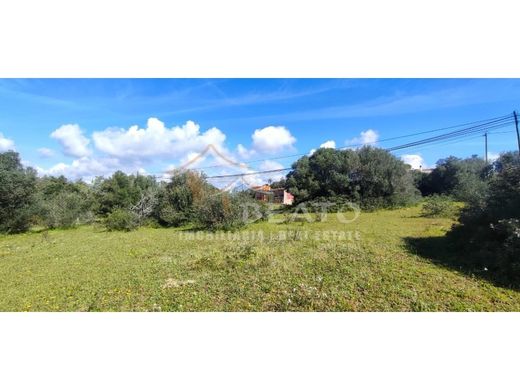 토지 / Portimão, Distrito de Faro