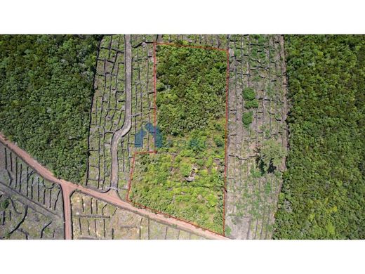 Farm in Madalena, Azores