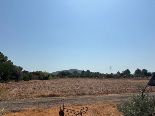 Terreno en San Juan Bautista, Islas Baleares