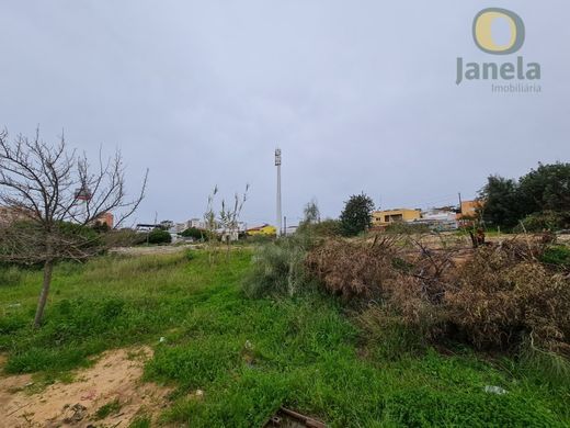 토지 / Faro, Distrito de Faro