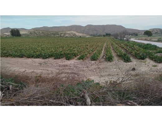 Luxe woning in Albacete, Provincia de Albacete