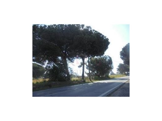 Land in Palmela, Distrito de Setúbal