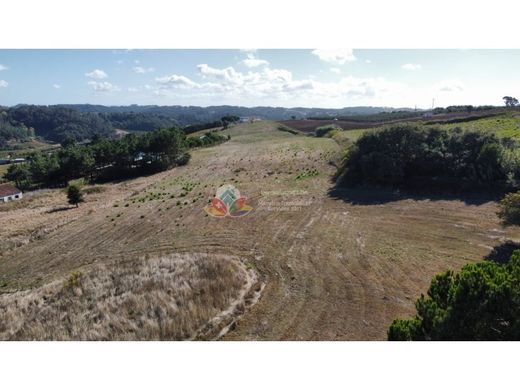 Terreno en Alcobaça, Leiria