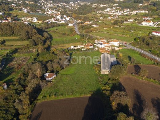 Land in Vale de Cambra, Aveiro