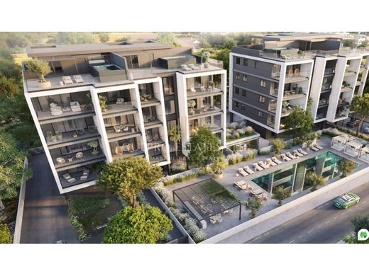 Daire Germasógeia, Limassol District