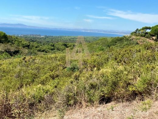 地皮  Sesimbra, Distrito de Setúbal
