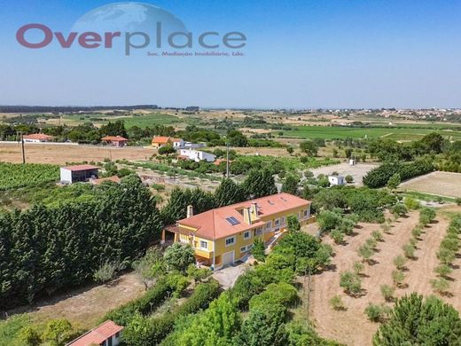 Luksusowy dom w Cartaxo, Distrito de Santarém