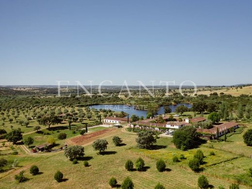 Maison de luxe à Castelo Branco, Distrito de Castelo Branco
