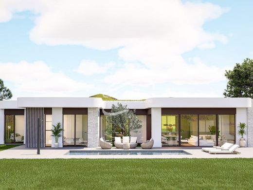 Villa in Pinoso, Alicante
