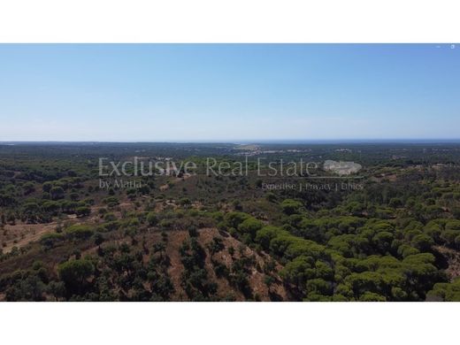 Terreno a Grândola, Distrito de Setúbal