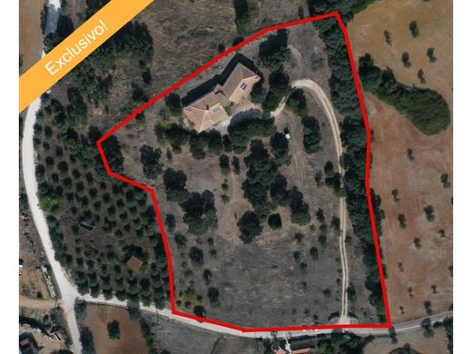 Boerderij in Santarém, Distrito de Santarém