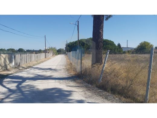 Αγροτεμάχιο σε Palmela, Distrito de Setúbal